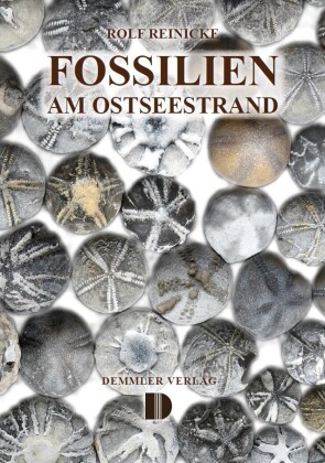 Fossilien am Ostseestrand