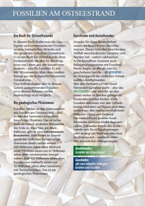 Fossilien am Ostseestrand