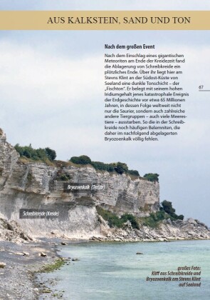 Fossilien am Ostseestrand