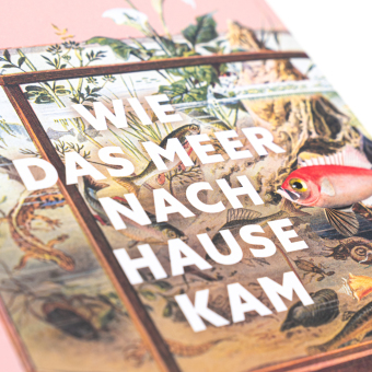 Wie das Meer nach Hause kam. Die Erfindung des Aquariums