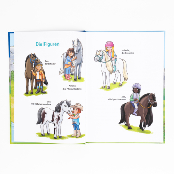 PLAYMOBIL Horses of Waterfall. Ein Team für die Pferde