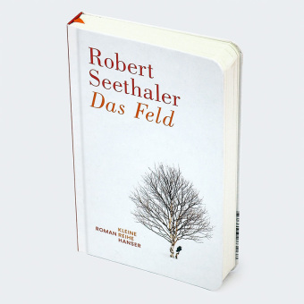 Das Feld