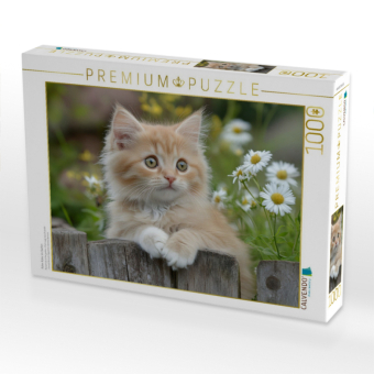 CALVENDO Puzzle Roter Kater im Garten | 1000 Teile Lege-Größe 64x48cm Foto-Puzzle für glückliche Stunden