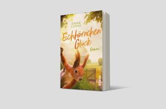 Eichhörnchenglück