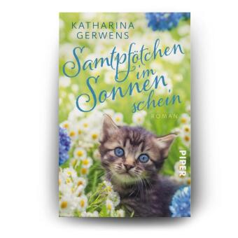 Samtpfötchen im Sonnenschein