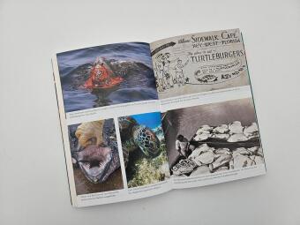 Meine Reise mit den Meeresschildkröten
