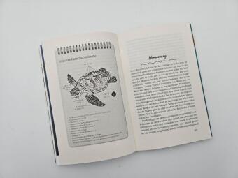 Meine Reise mit den Meeresschildkröten