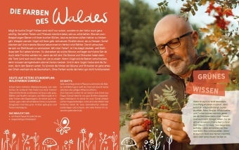 Peter Wohllebens Schule des Waldes
