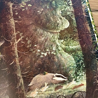 Als der Wald erwachte