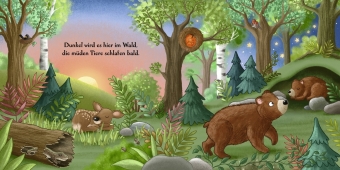 Es wird Nacht hier im Wald
