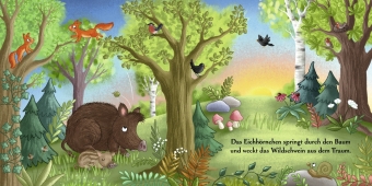 Es wird Tag hier im Wald