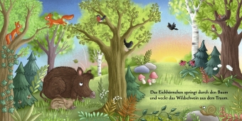 Es wird Tag hier im Wald