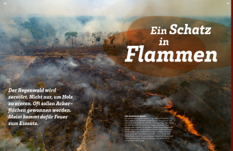 WAS IST WAS Regenwald. Wilde grüne Welt