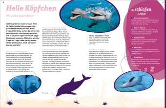 WAS IST WAS Delfine. Immer im Team 