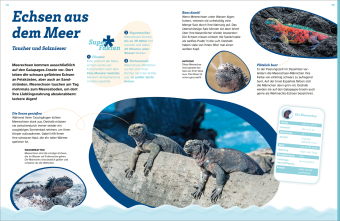 WAS IST WAS Echsen. Kleine Drachen hautnah