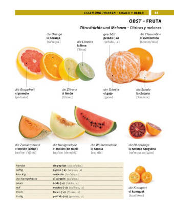 PONS Bildwörterbuch Spanisch
