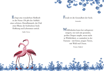 Gute Besserung