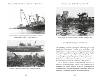 Mai 1945: Das absurde Ende des »Dritten Reiches«