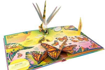 Das unglaubliche Pop-up-Buch - Insekten