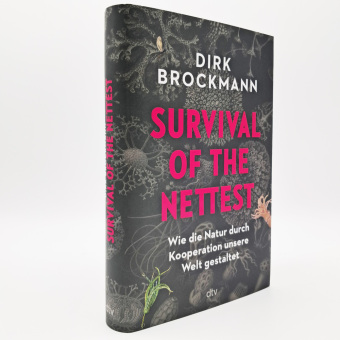 Survival of the Nettest