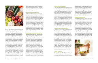 Die Ernährungs-Docs - Unsere 100 besten Anti-Bauchfett-Rezepte 