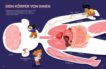 Von Kopf bis Fuß erstaunlich - Spannende Fakten über deinen Körper