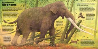 MEGA: The Most Enormous Animals Ever