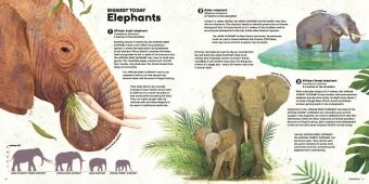 MEGA: The Most Enormous Animals Ever