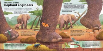 MEGA: The Most Enormous Animals Ever