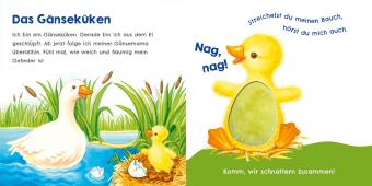 Hör mal, wie ich schnattern kann (Mein erstes Streichel-Soundbuch 1)