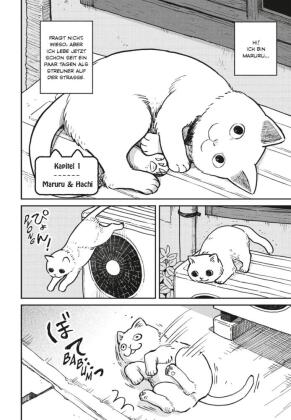 Hachi & Maruru - Streuner halten zusammen! 1