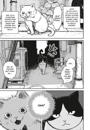 Hachi & Maruru - Streuner halten zusammen! 1