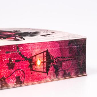 Royals of Nightfall. Dämonenfluch (Royal Shadows 1) 