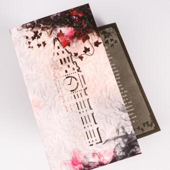 Royals of Nightfall. Dämonenfluch (Royal Shadows 1) 