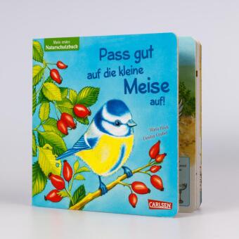 Pass gut auf die kleine Meise auf 