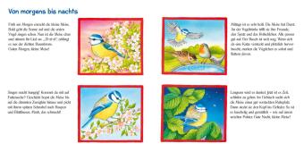 Pass gut auf die kleine Meise auf 