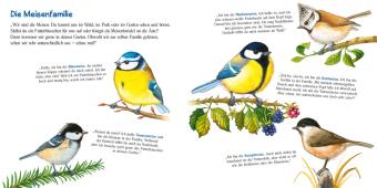 Pass gut auf die kleine Meise auf 