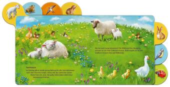 Was machen die Tiere im Frühling?