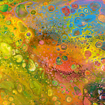 Der ultimative ACRYLMALKURS für Einsteiger 