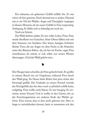 Foxfighter - Angriff des Schattens (Band 1)