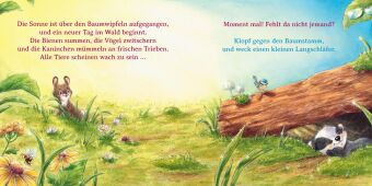 Wer ist hier ein Frechdachs?