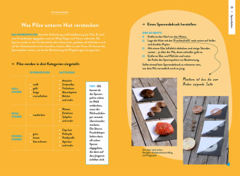 Nature Guide Pilze