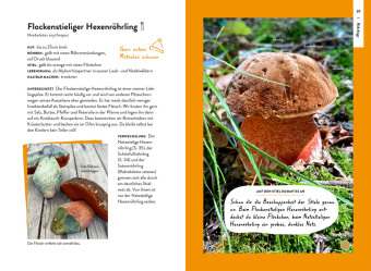 Nature Guide Pilze