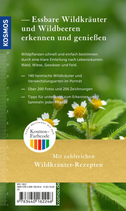 Essbare Wildkräuter und Wildbeeren für unterwegs