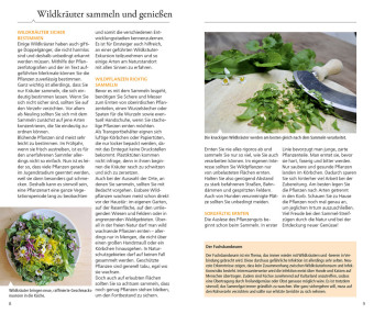 Essbare Wildkräuter und Wildbeeren für unterwegs 