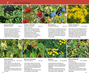 Essbare Wildkräuter und Wildbeeren für unterwegs 