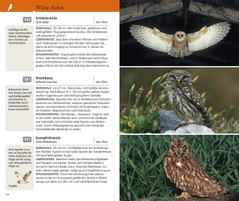 Kosmos Vogelführer für unterwegs 
