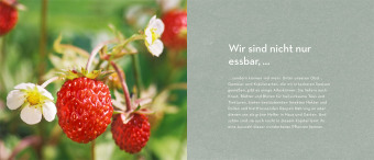Alleskönner im Garten