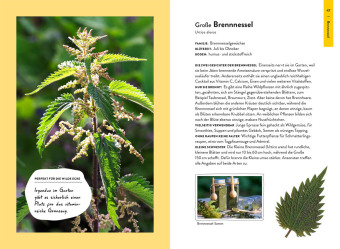 Garden Guide Wildkrautampel 