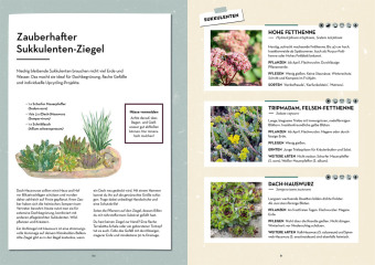 Klimahelden auf dem Balkon 